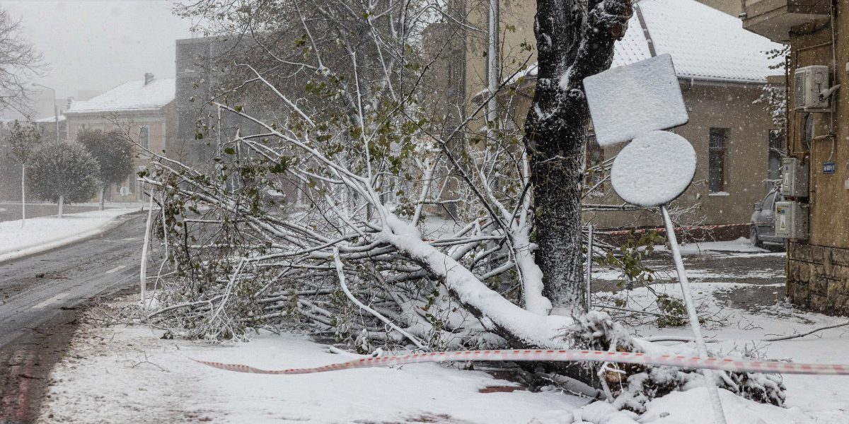 NjMwJnpjPTEmaGFzaD1hNjI2ZDU0Y2I4ZjJlOGIxODlhMzU5ZDQ0ZWFjOGZlZg.thumb_.jpg - ReactiveNews