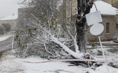 NjMwJnpjPTEmaGFzaD1hNjI2ZDU0Y2I4ZjJlOGIxODlhMzU5ZDQ0ZWFjOGZlZg.thumb_.jpg - ReactiveNews