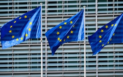 PWM0MTMyOTJlZDFhNTQ1MmM2OWRhM2VhMDY3MGQwNDZk.thumb_.jpg - ReactiveNews