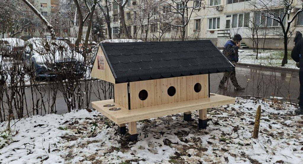 Patru căsuțe noi pentru pisici, instalate în Sectorul 6