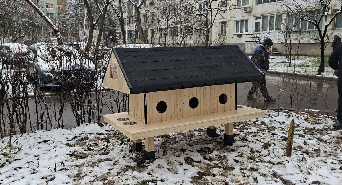 Patru căsuțe noi pentru pisici, instalate în Sectorul 6
