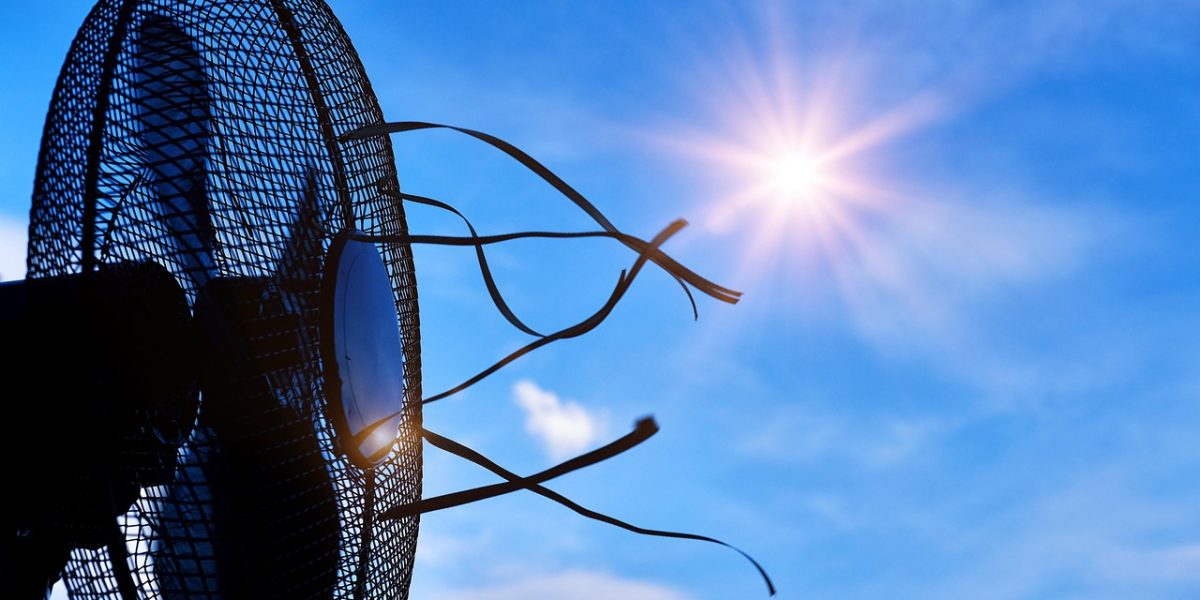 Retea-de-Adaposturi-Climatice-in-Bucuresti-pixabay.jpg - ReactiveNews