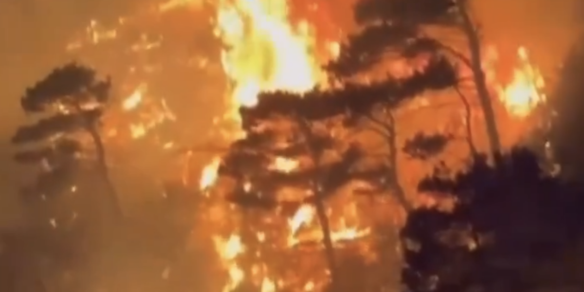 Screenshot-2024-07-10-at-22.52.14.png - ReactiveNews