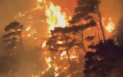 Screenshot-2024-07-10-at-22.52.14.png - ReactiveNews