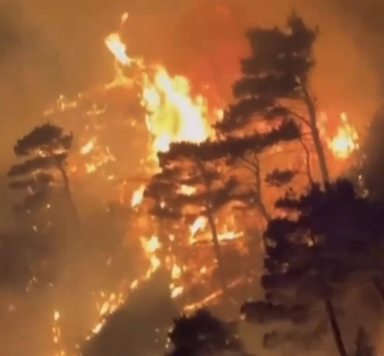Fumul toxic al incendiilor de pădure a ucis aproape 25.000 de americani anual între 2006 și 2020, o realitate alarmantă ce nu poate fi ignorată, relevă un studiu recent