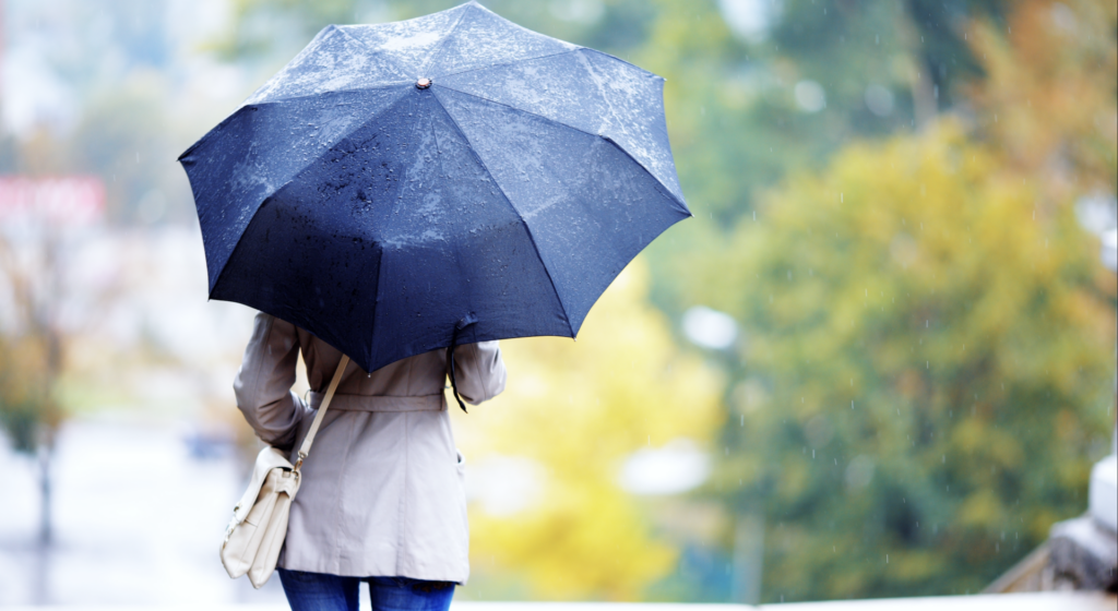 Screenshot-2025-05-19-at-14.43.45-1024x560.png - ReactiveNews