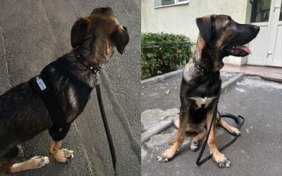 Untitled-design-37-1000x666.png - ReactiveNews