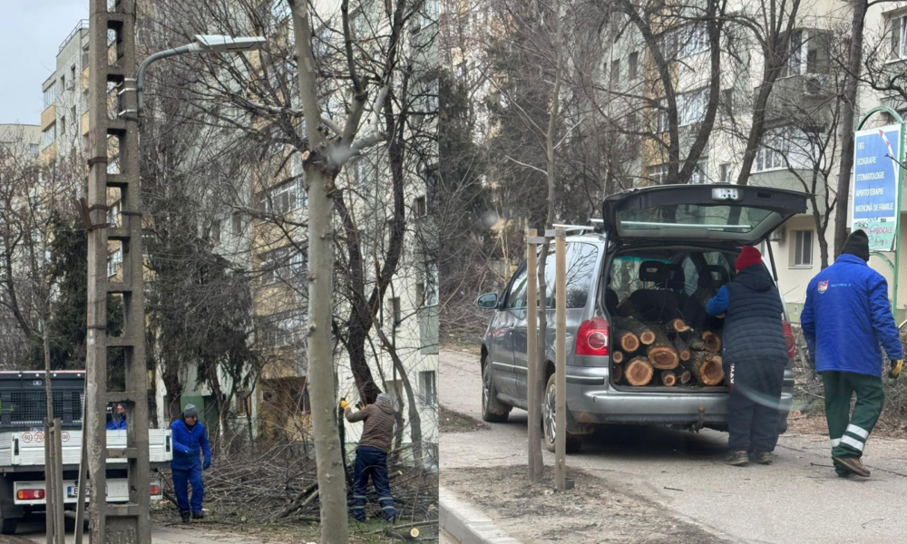 Untitled-design-38-1000x666.png - ReactiveNews