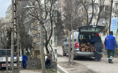 Untitled-design-38-1000x666.png - ReactiveNews