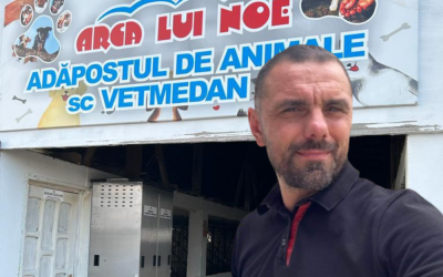 Untitled-design-40-1000x667.png - ReactiveNews