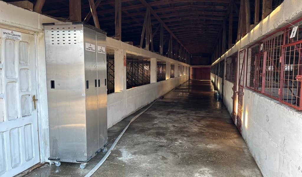 WhatsApp-Image-2023-10-11-at-19.46.47-15-1.jpeg - ReactiveNews