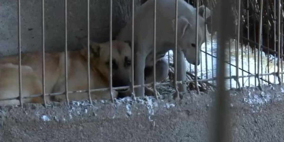 YTBiZDlmNjFjOGNkZjE2ZTU4ZTEzNDQxNWM4NGE3ZGE.thumb_.jpg - ReactiveNews