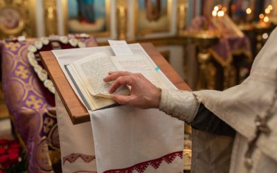 aD03MmRmYTgzM2U5MmE1NTE4ZDRjMjgxNjc5ZGEwYzEzOA.thumb_.jpg - ReactiveNews