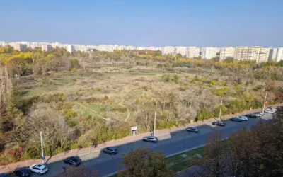 amendaior-1.webp.webp - ReactiveNews