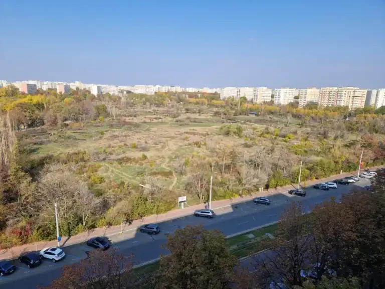 amendaior-1.webp.webp - ReactiveNews