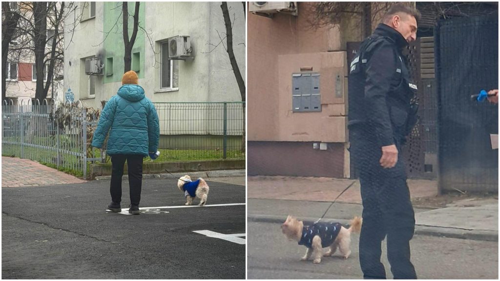 Bucureștenii din Sectorul 3 riscă amenzi de peste 10.000 de lei dacă nu respectă regulile privind curățenia pe stradă și gestionarea câinilor de companie