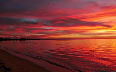 apusuri-rosii.jpg - ReactiveNews