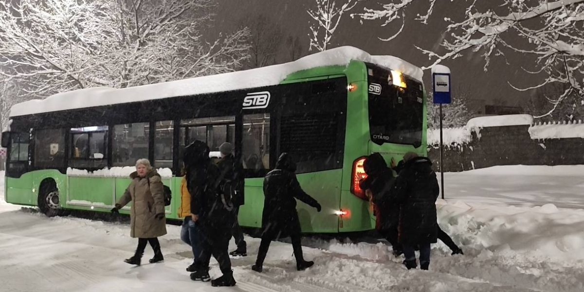 autobuz-ninsoare-bucuresti.jpg - ReactiveNews