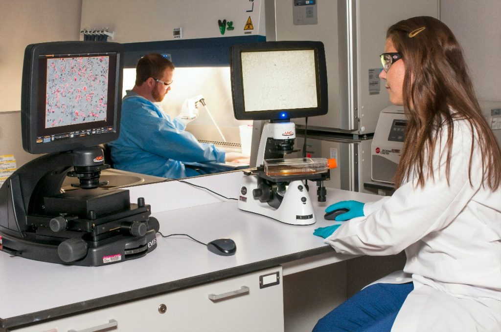 Ministrul Sănătății, Alexandru Rogobete, a anunțat recent aprobarea metodologiei pentru organizarea unui nou examen european pentru medicii specialiști în radiologie și imagistică medicală, un pas semnificativ în alinierea sistemului medical românesc la standardele europene