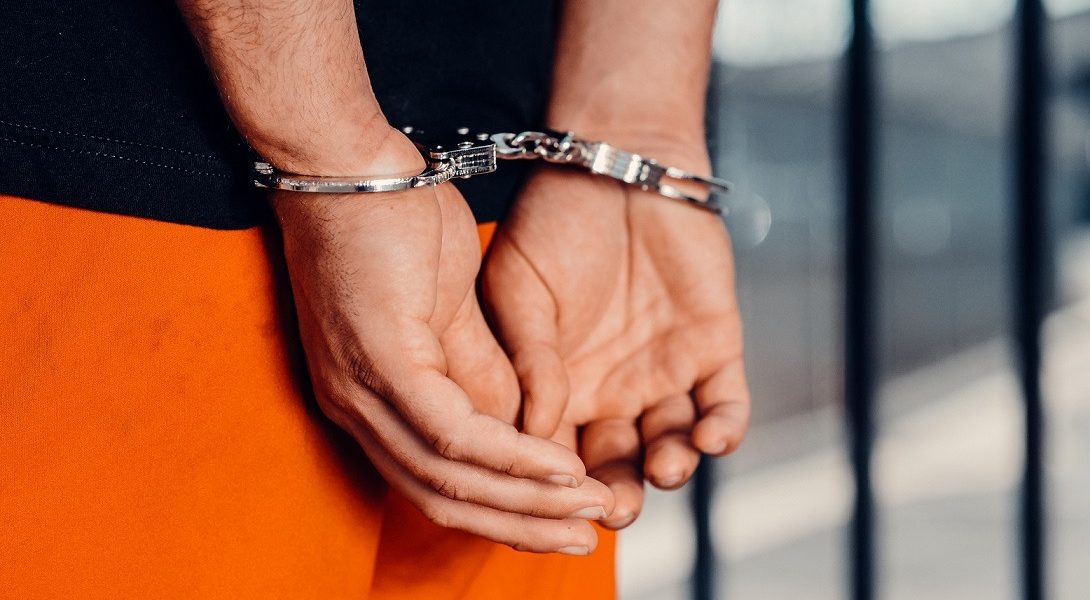 catuse.jpg - ReactiveNews