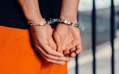 catuse.jpg - ReactiveNews