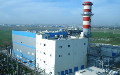 cetvest.jpg - ReactiveNews