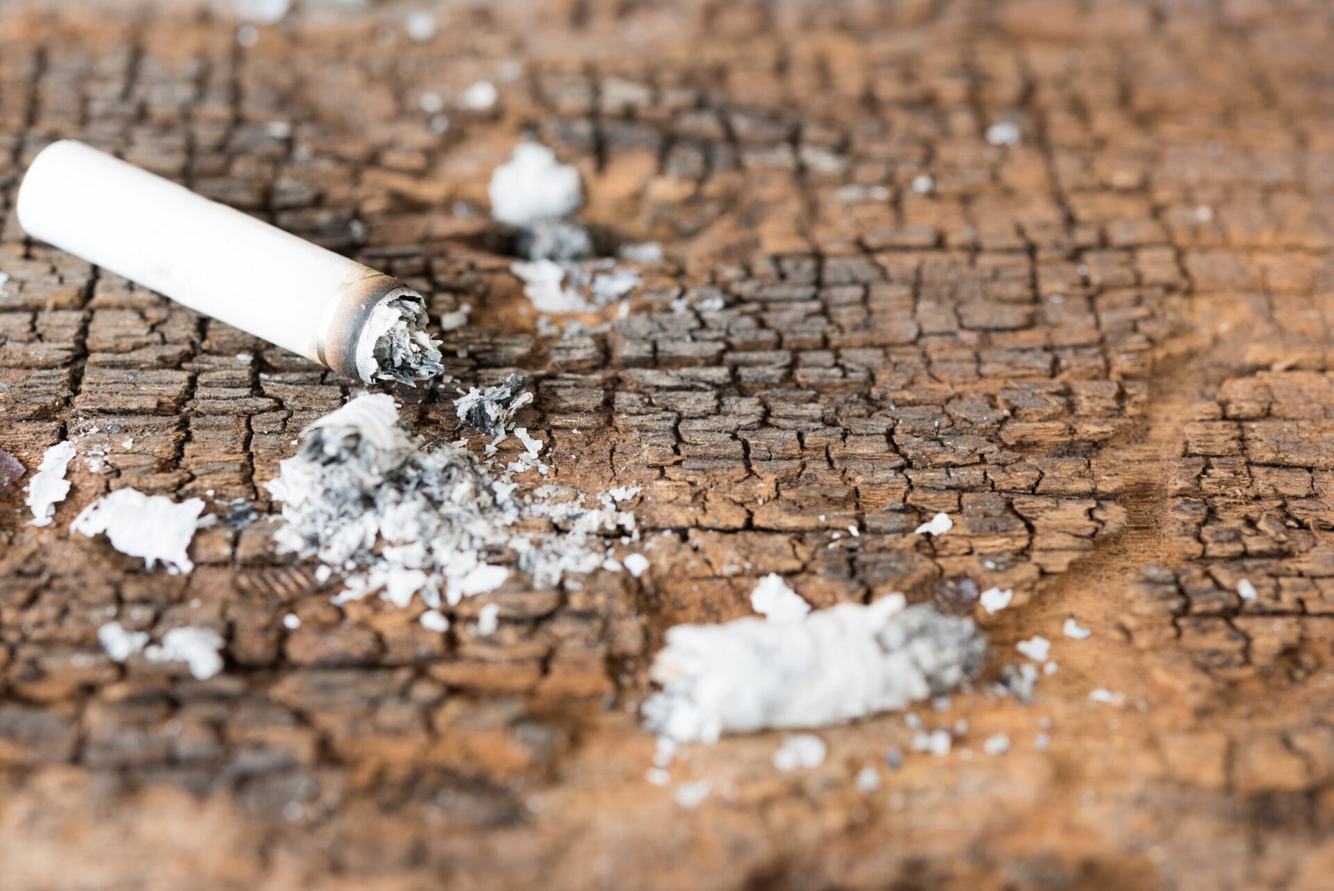 Deșeurile de tutun devin soluția inovatoare pentru stocarea energiei Deșeurile reprezentate de mucurile de țigară, considerate până acum doar o povară pentru mediu, pot deveni o resursă valoroasă în lupta pentru o planetă mai curată și energie mai eficientă