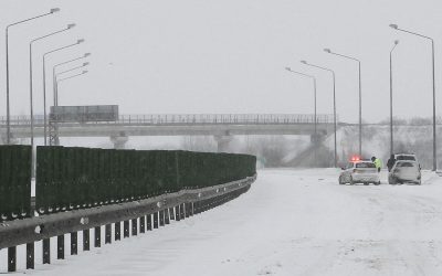 deszapezire_INQUAM_Photos_Raul_Giuglea.jpg - ReactiveNews