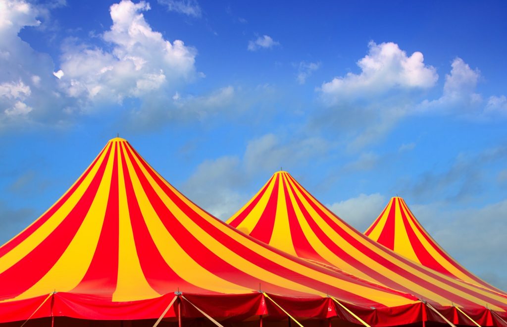 Un incident grav a zguduit sâmbătă seara scena circatrică din Craiova, când un acrobat spaniol a căzut de pe echipament în timpul unui spectacol desfășurat pe Calea Severinului
