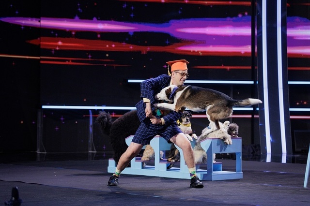 dresor-caini.jpg - ReactiveNews