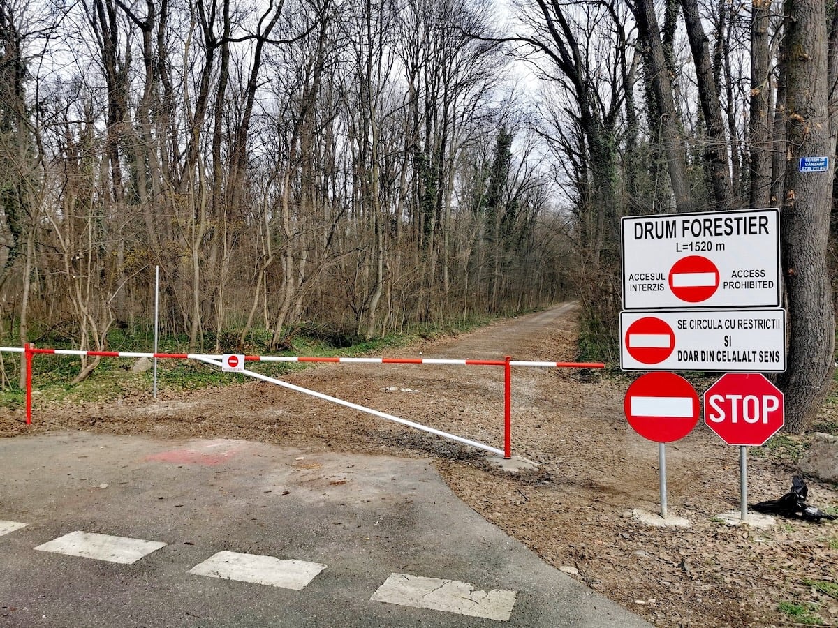 Romsilva justifică drumul din Greenfield prin decrete comuniste: „aleea modernizată” și „drum forestier”