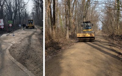 drumulcatregreenfield.jpg - ReactiveNews