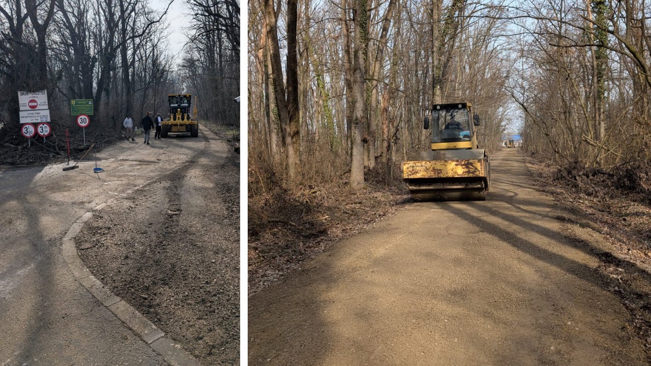 Drumul din pădurea Băneasa, în centru unui conflict legal și administrativ: reîncepe modernizarea, în timp ce problema reîmpăduririi rămâne nerezolvată În ultimii ani, zona pădurii Băneasa a fost scena unor controverse și dispute între autorități, companii private și comunitate, legate de existența și legalitatea unui drum construit în interiorul fondului forestier