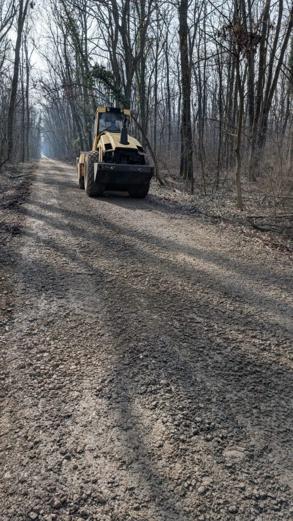 Controverse în Pădurea Băneasa: Utilaje moderne sau ilegalitate? Într-un moment în care opinia publică este devansată de informații contradictorii despre starea actuală a drumurilor forestiere din zona Pădurea Băneasa, situată în inima cartierului Greenfield, situația devine tot mai complicată