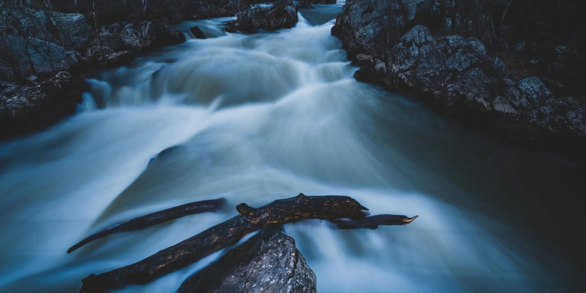 foto-apa.jpg - ReactiveNews