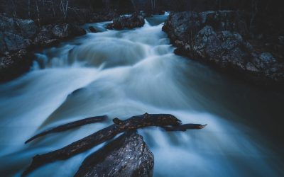 foto-apa.jpg - ReactiveNews