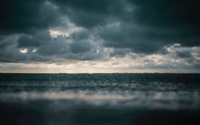 Nivelul de umiditate în Franța, cel mai ridicat din 1959, afectează absorbția precipitațiilor