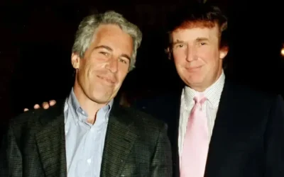 image_1200x675_698059c2b51f5.webp.webp - ReactiveNews