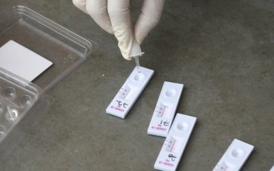 img-1-1.jpg - ReactiveNews