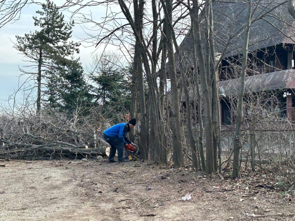 Lucrurile în dosarul privind retrocedarea Parcului IOR, un caz care a atras atenția publicului și autorităților din cauza implicațiilor sale politice și imobiliare, devin mai complicate