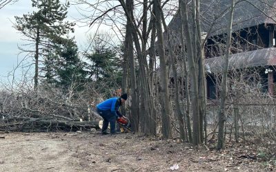 ior-aprc-1-3.jpg - ReactiveNews