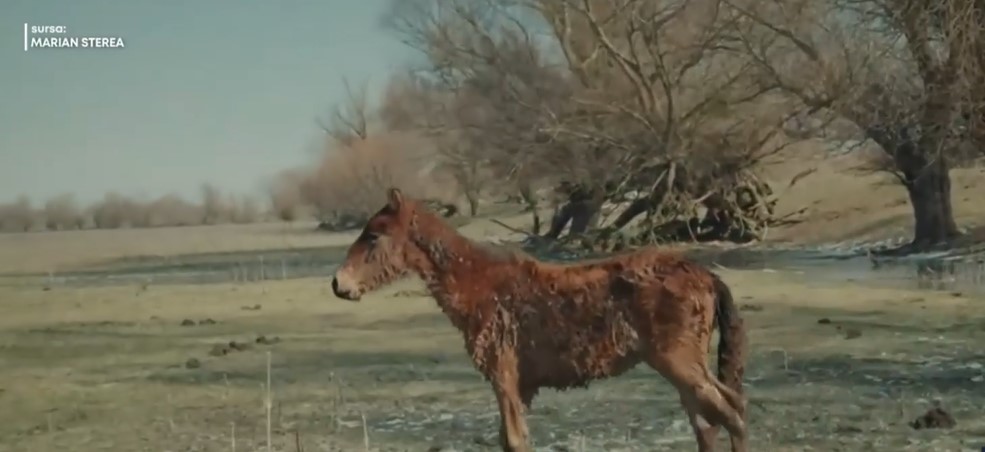 manz.jpg - ReactiveNews