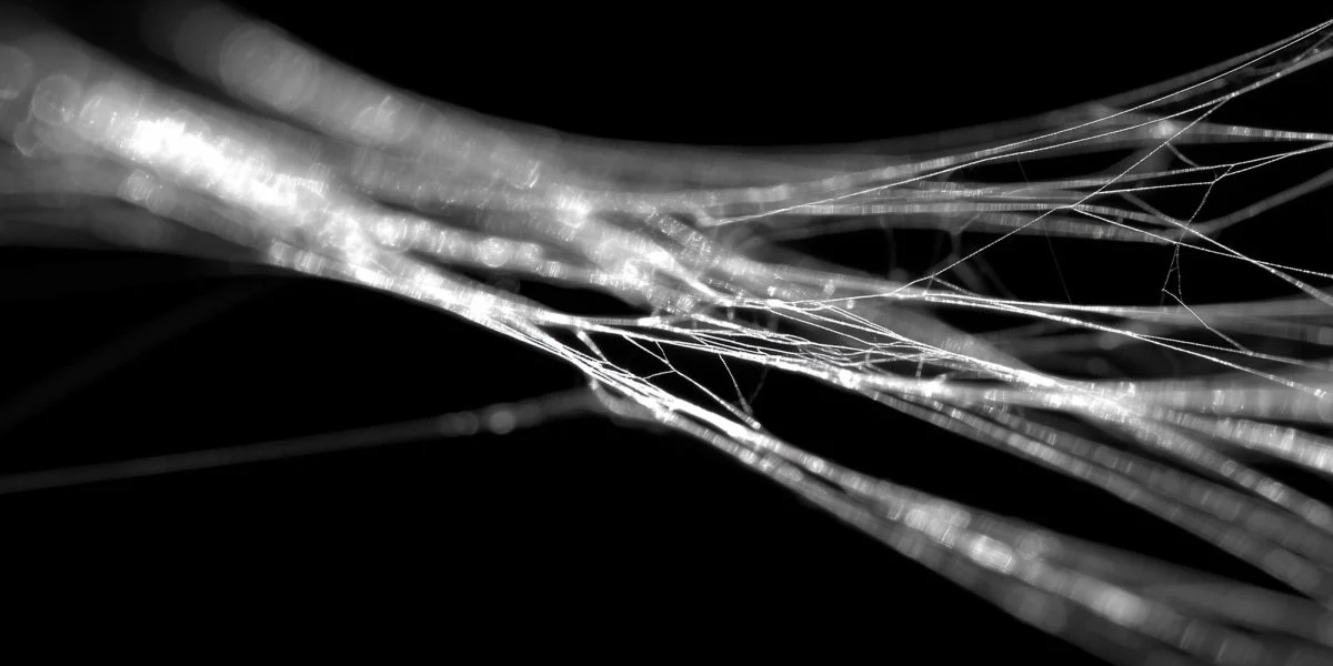 matase-paianjen.png - ReactiveNews