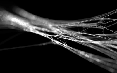 matase-paianjen.png - ReactiveNews