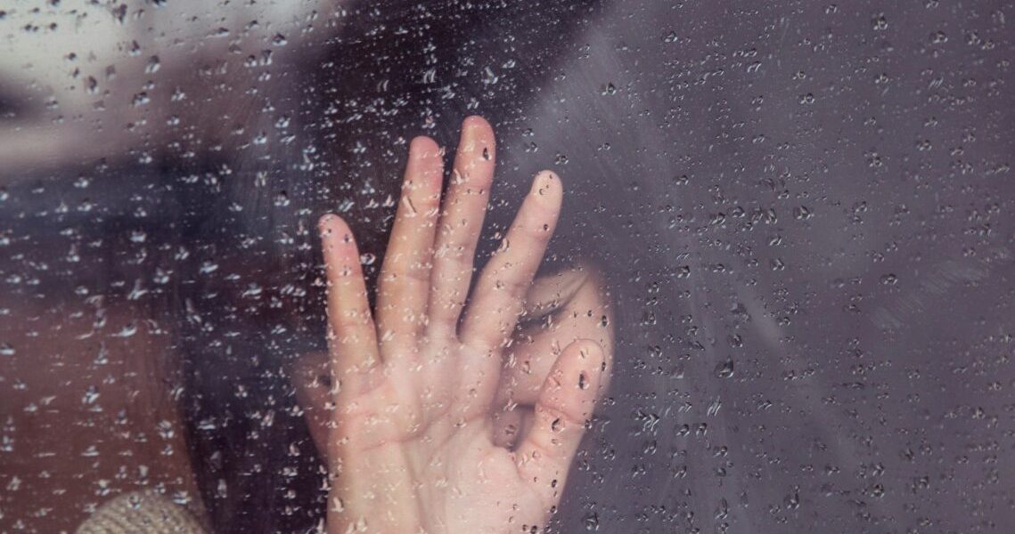 milada-vigerova-kT0tsYZ2YE0-unsplash-e1717931877253.jpg - ReactiveNews