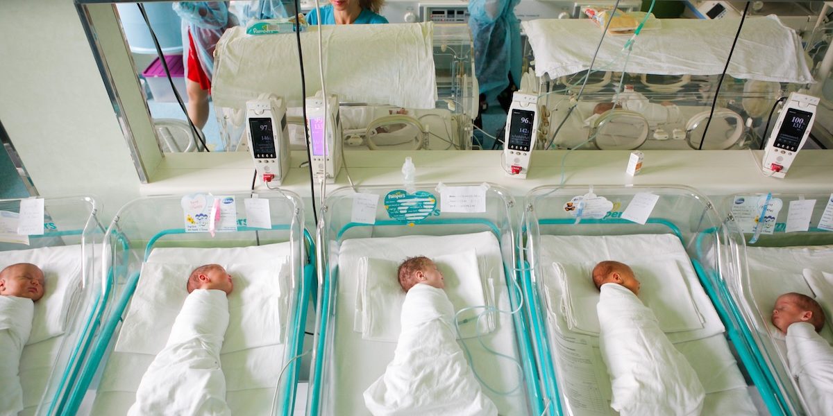 nou-nascut_INQUAM_Photos_George_Calin.jpg - ReactiveNews