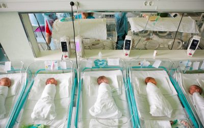 nou-nascut_INQUAM_Photos_George_Calin.jpg - ReactiveNews