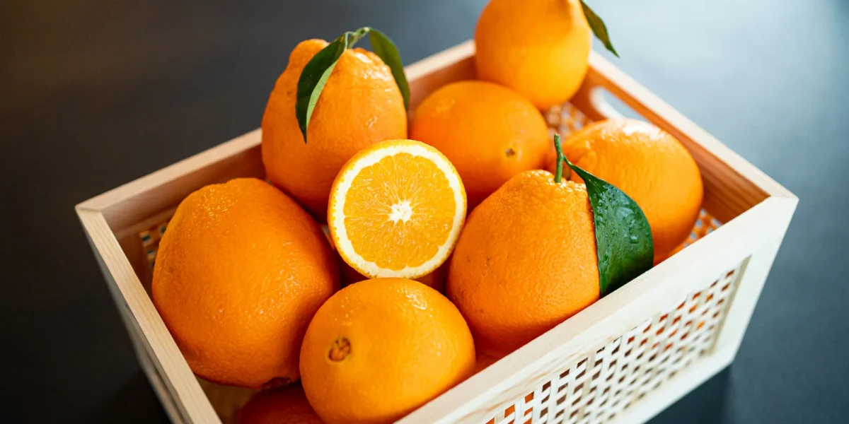 portocale-789528.webp.webp - ReactiveNews