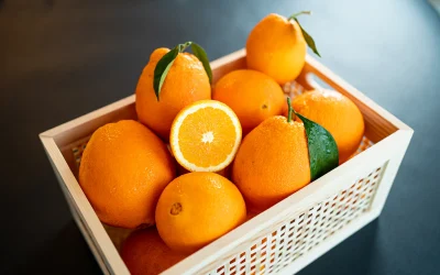 portocale-789528.webp.webp - ReactiveNews