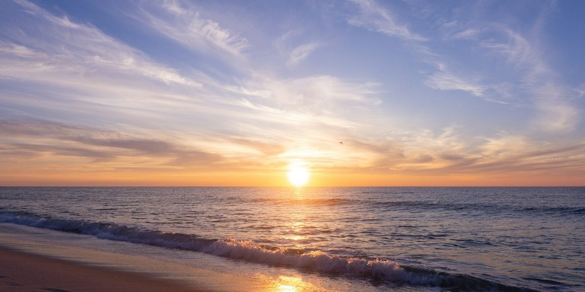 rasarit.jpg - ReactiveNews